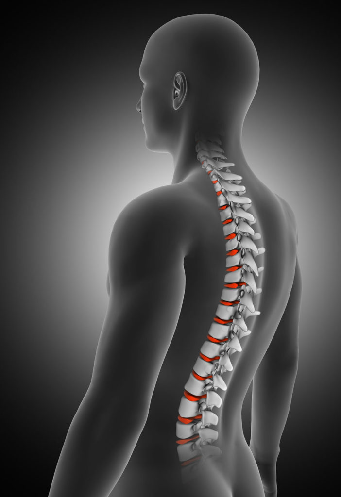 monochrome graphical drawing of body and spine highlighted in red